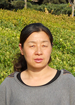 Manbetx手机版